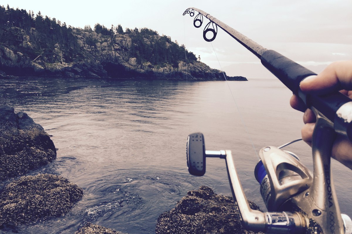 Persona pescando con caña durante el día