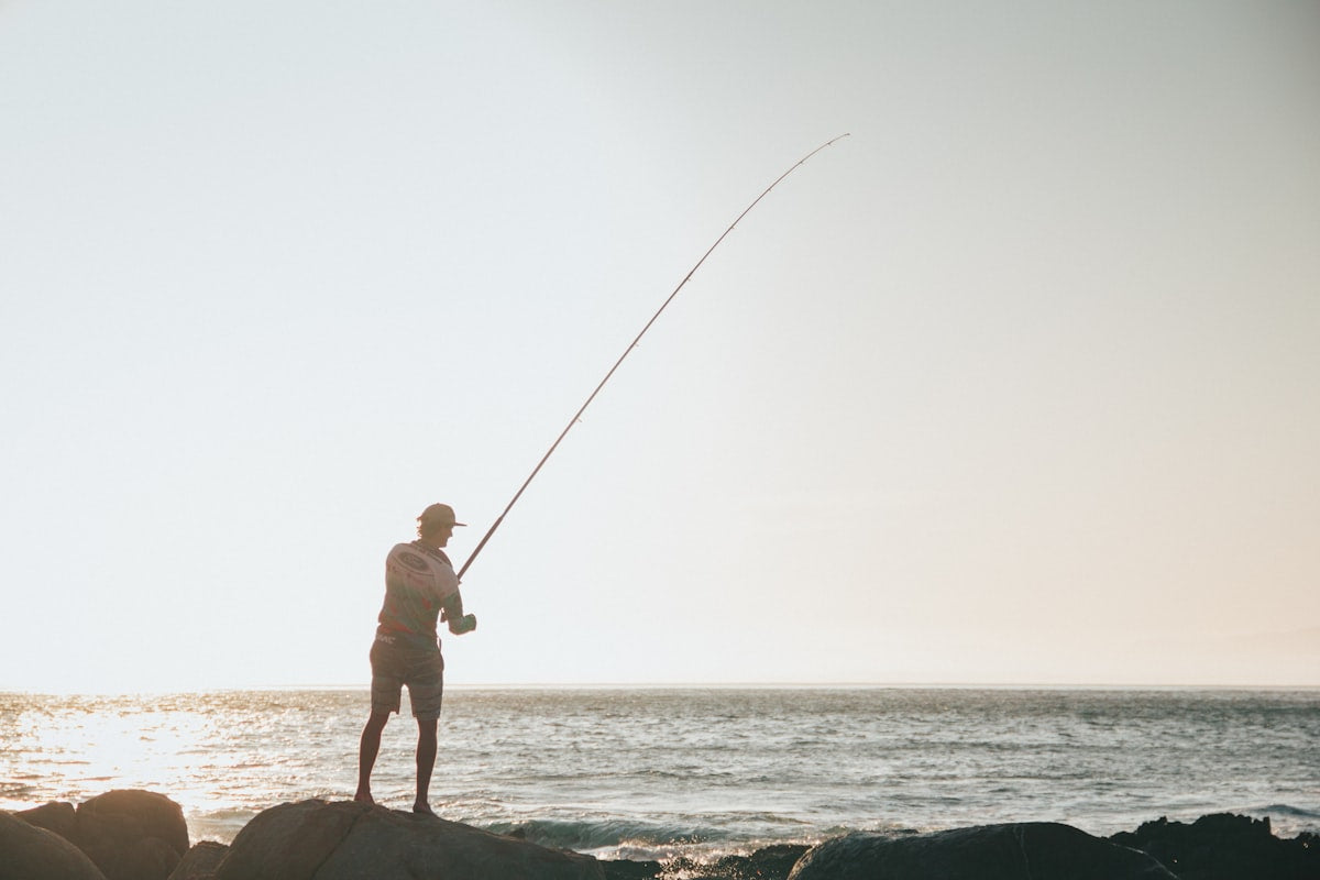 Canas de surfcasting: guia de compra