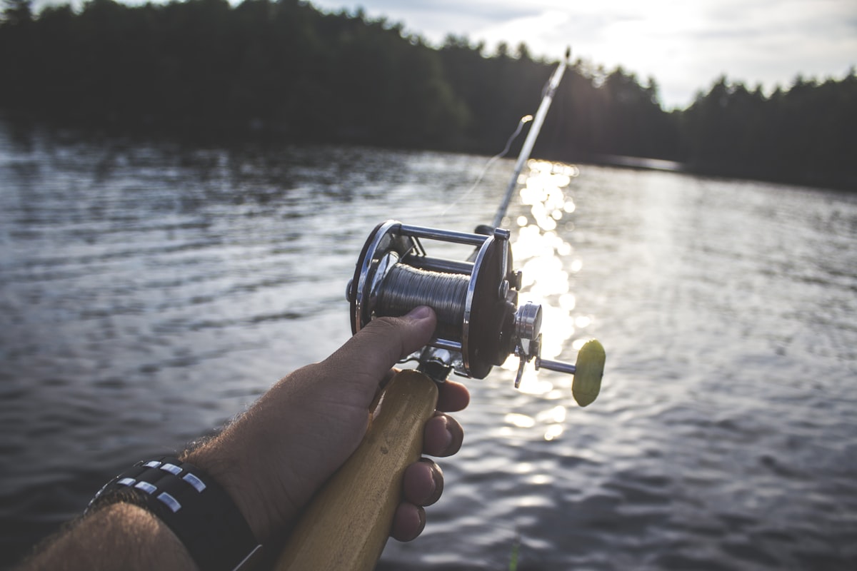 Nudos de pesca esenciales: Palomar, FG y Clinch