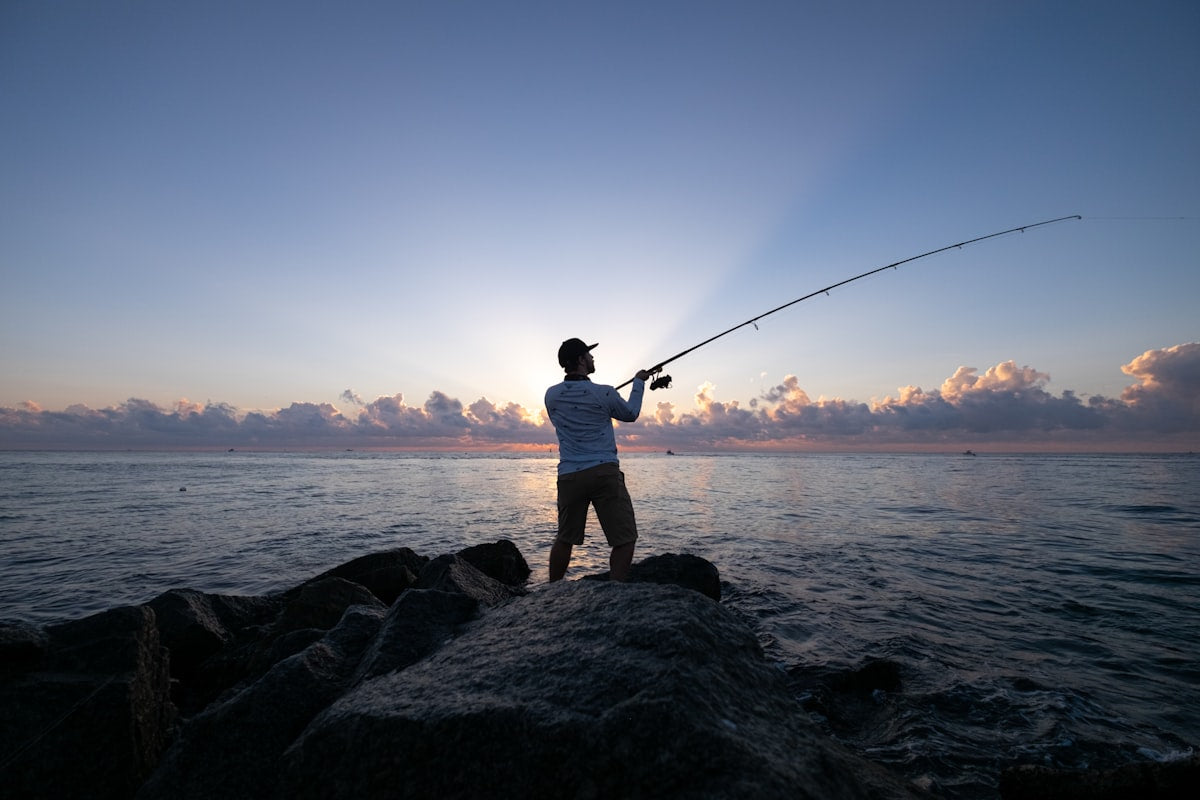Pesca en verano en Espana: especies y tecnicas